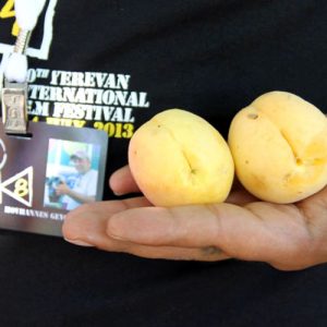 Golden Apricot Yerevan International Film Festival