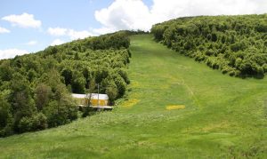 Ծաղկաձոր