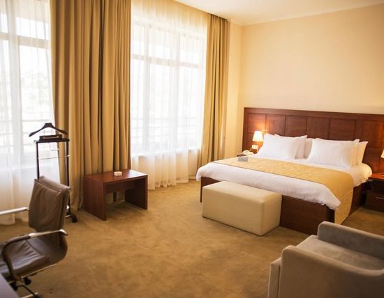 Ani Plaza Hotel