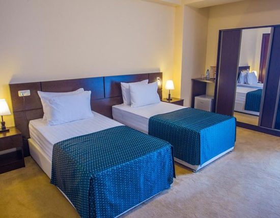 Ani Central Inn