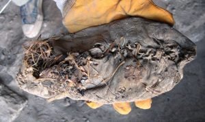 Areni Shoe