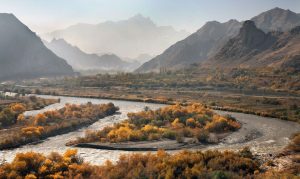 Մեղրի