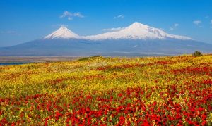 Armenian Nature