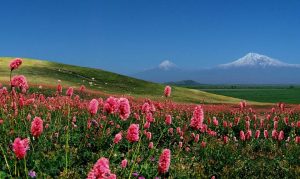 Armenian Nature