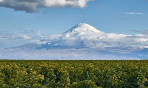 Armenian Nature