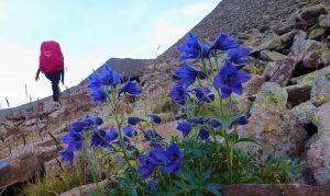 Armenian Nature