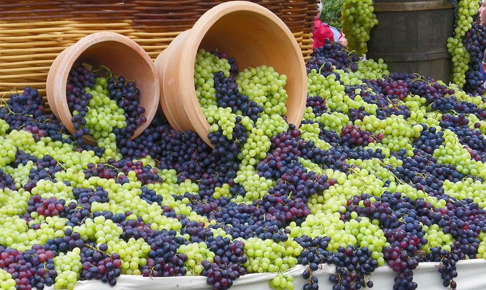 Armenian Wines
