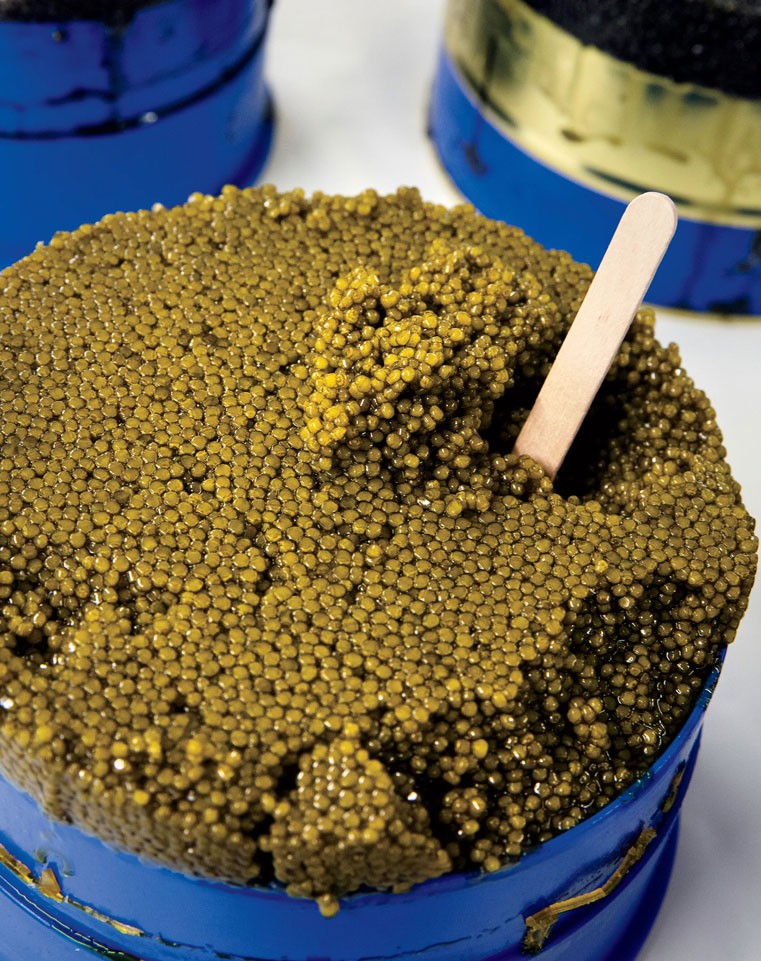 "Petrossian” Caviar House