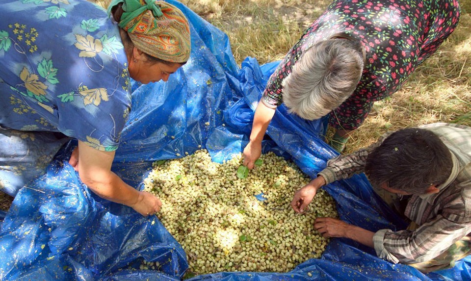 Armenian Mulberry Vodka