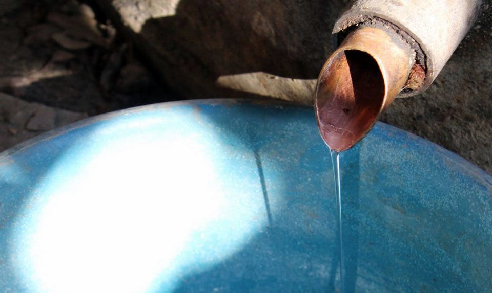 Armenian Mulberry Vodka