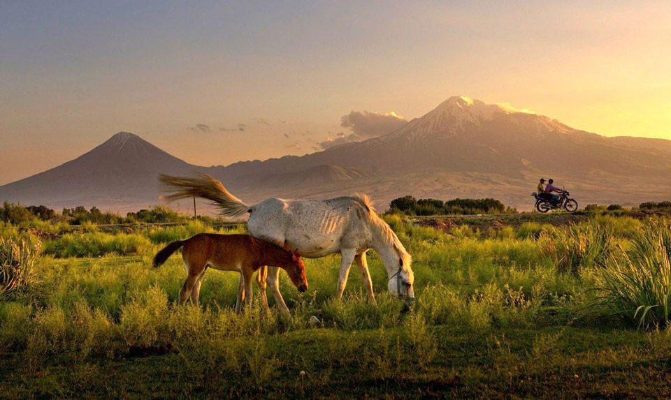 Mount Ararat