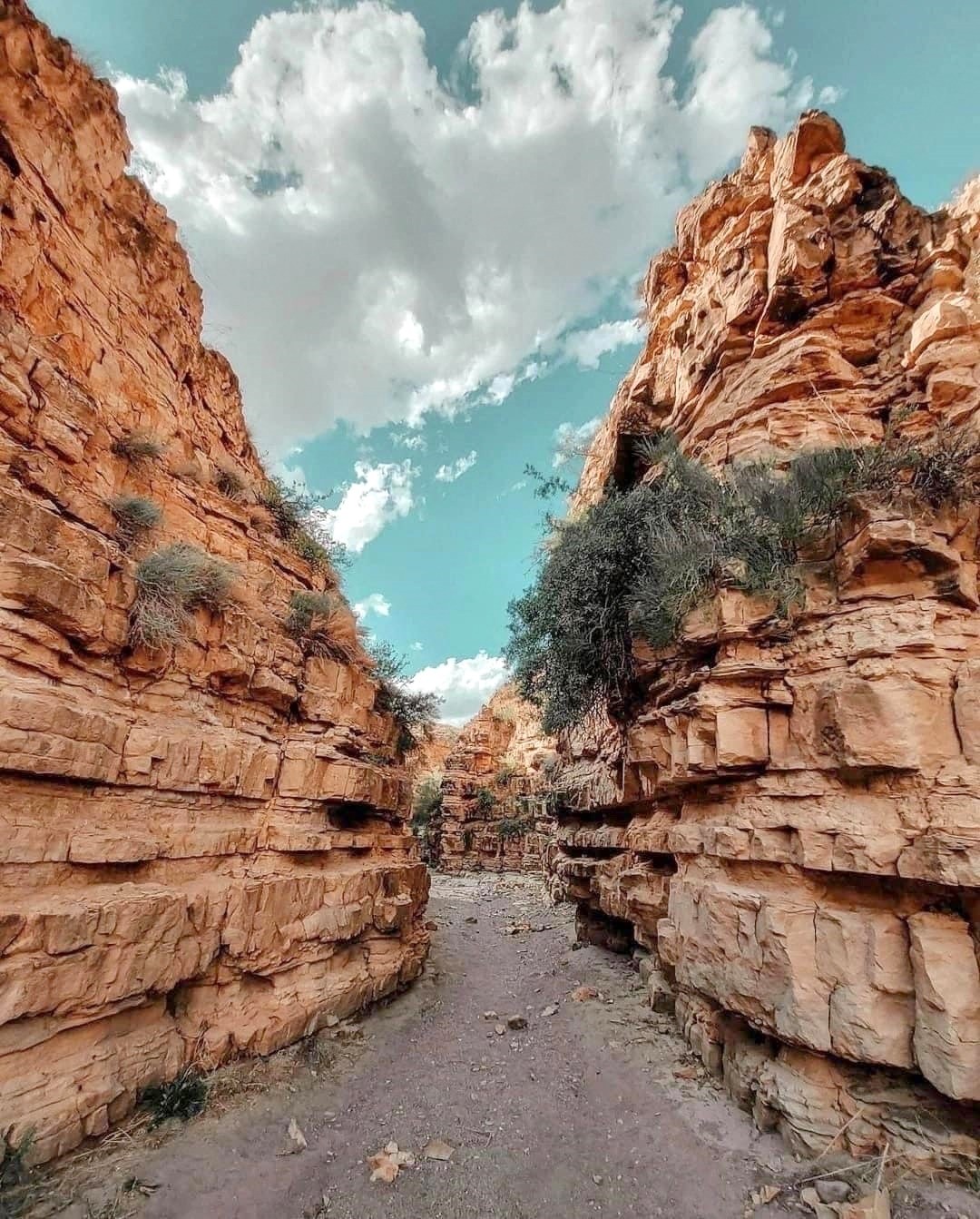 Angels’ Canyon