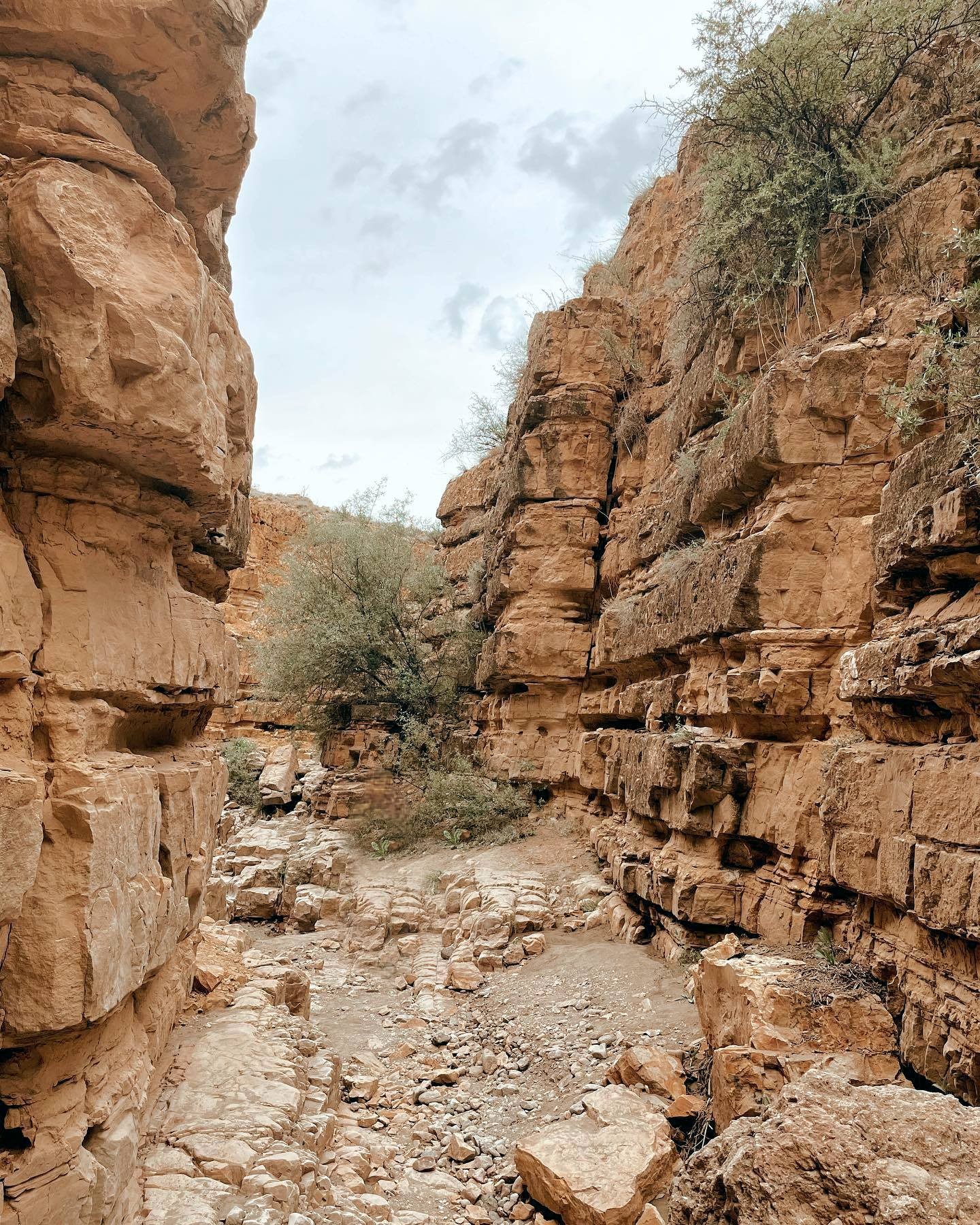 Angels’ Canyon