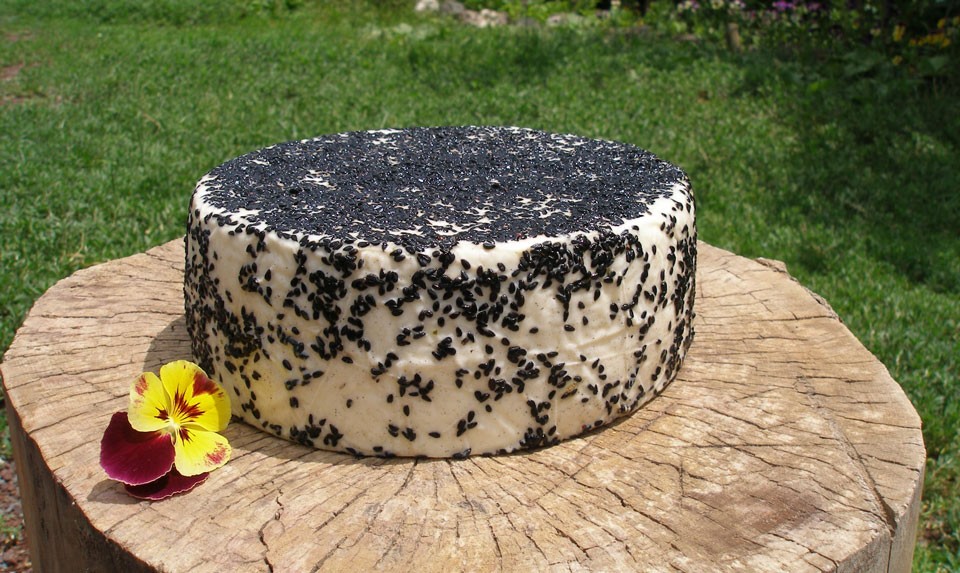 Armenian cheeses