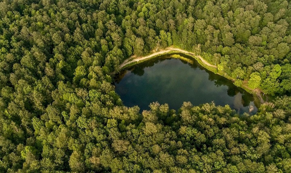 Lake Gosh