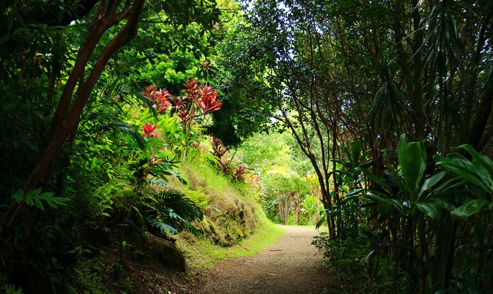 Stepanavan Dendropark