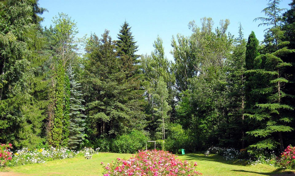 Stepanavan Dendropark