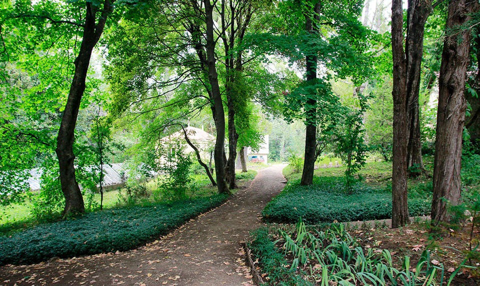 Stepanavan Dendropark
